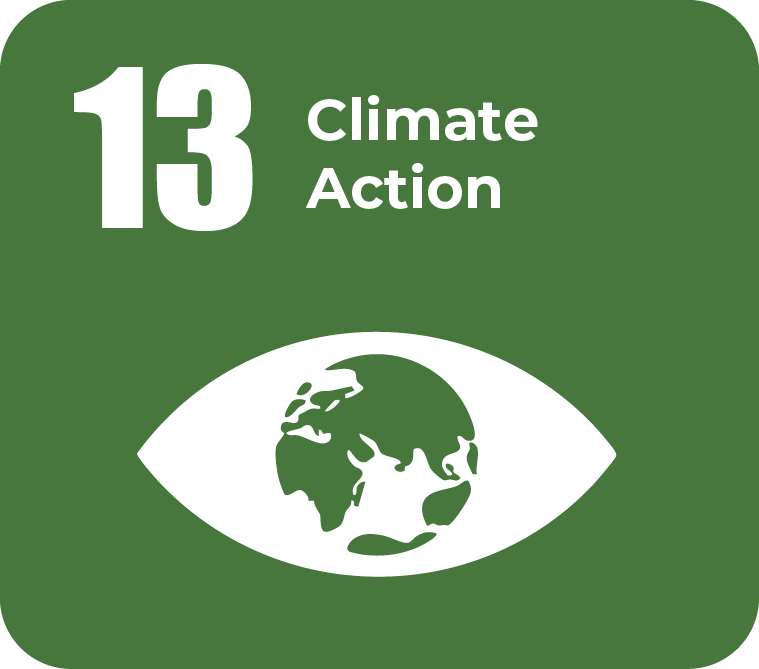 SDG 13 Climate Action icon representing efforts to combat climate change